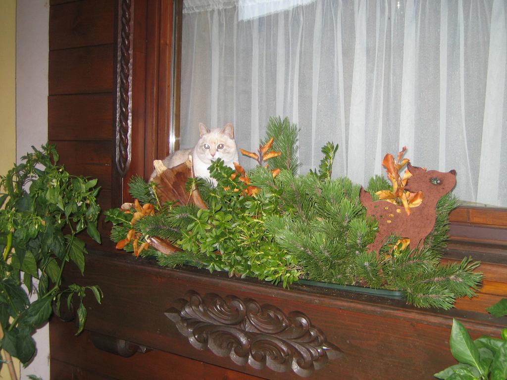 Haus Rosswiese Apartment Strobl Bagian luar foto